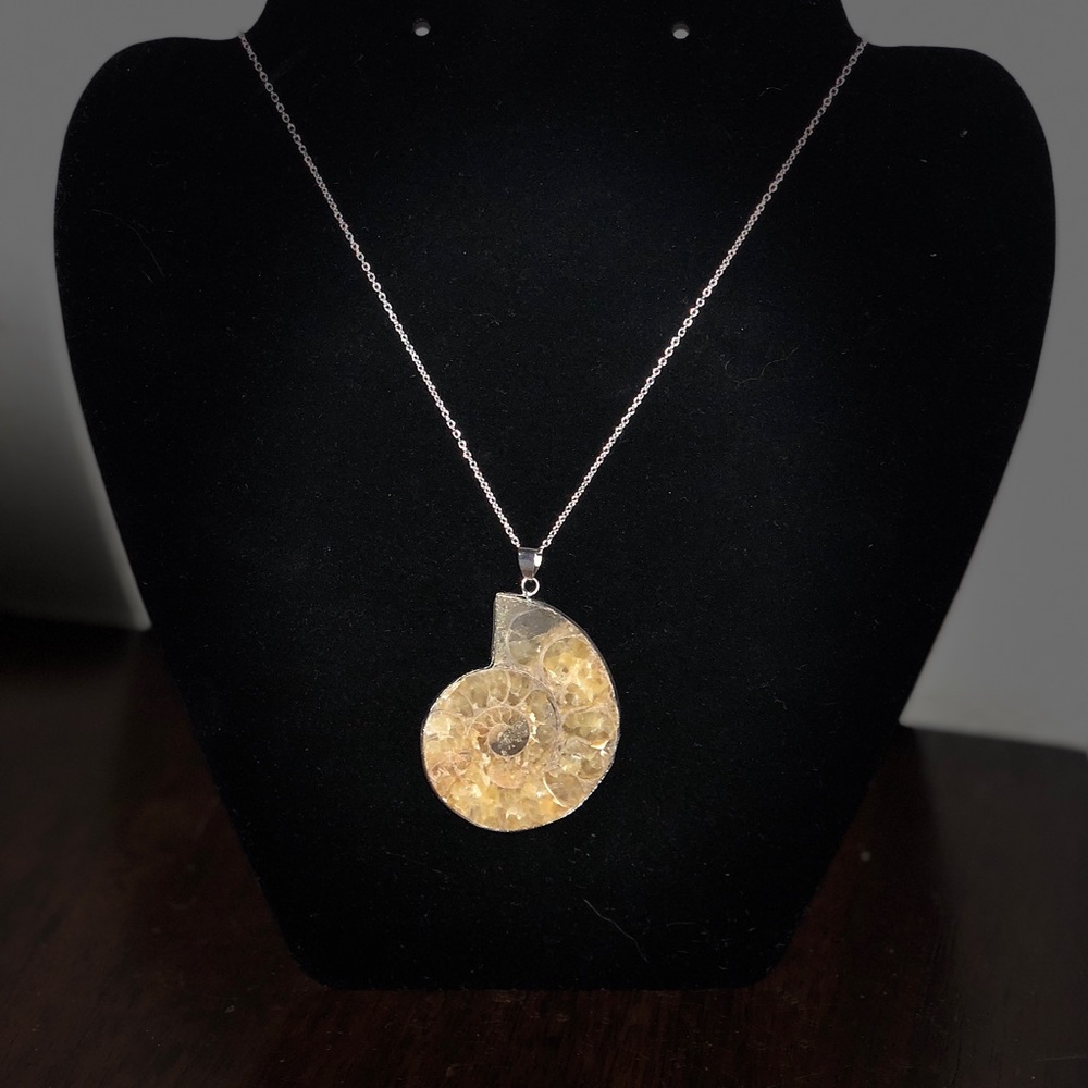 Nautilus shell necklace